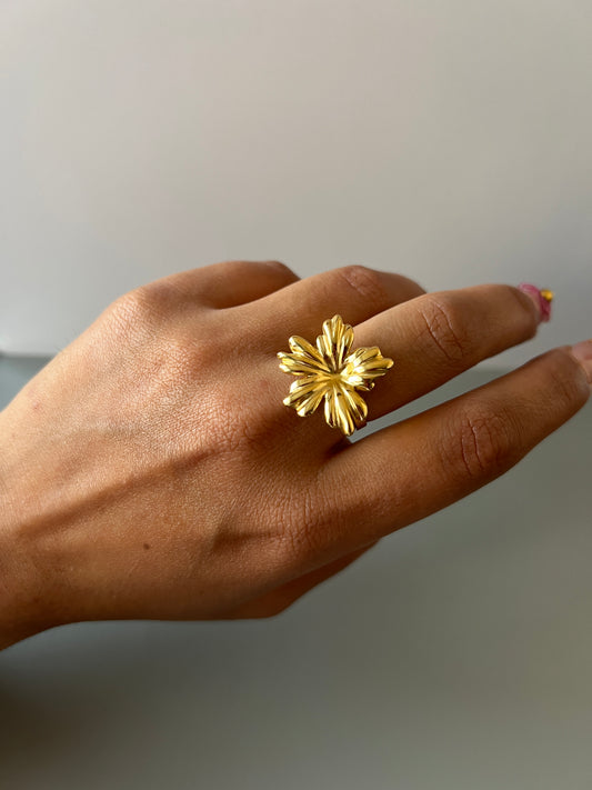 Anillo Isabela