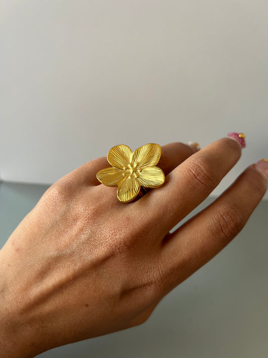 Anillo Lía