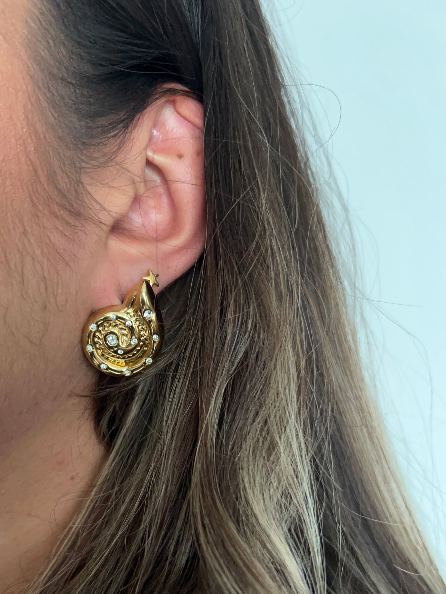 Aretes Iris